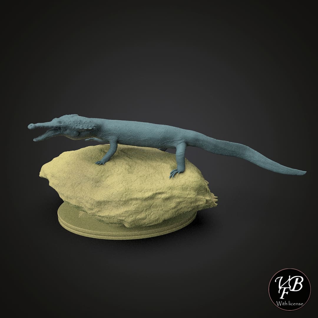 Kosmodraco magnicornis