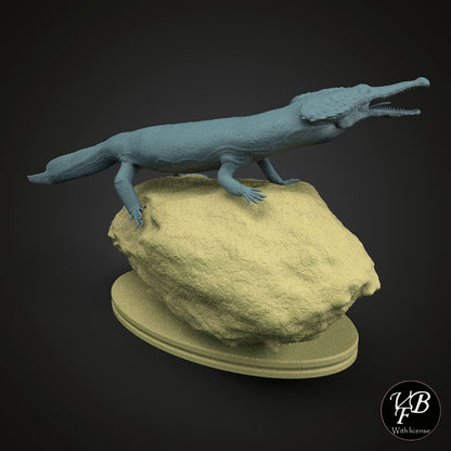 Kosmodraco magnicornis