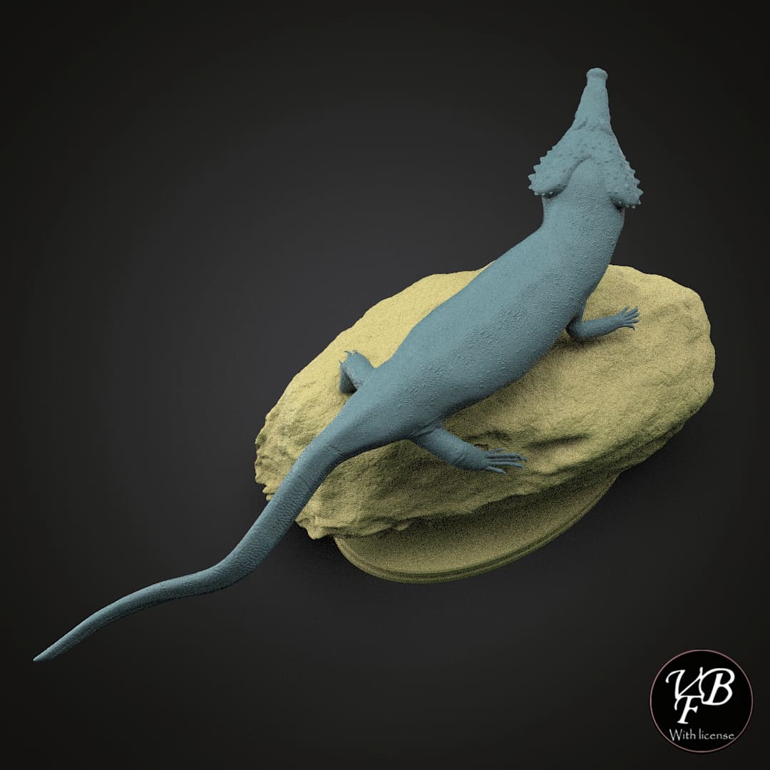 Kosmodraco magnicornis