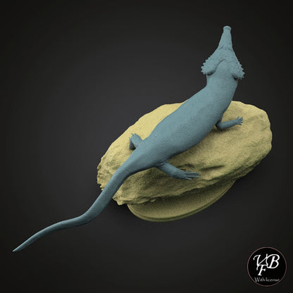 Kosmodraco magnicornis
