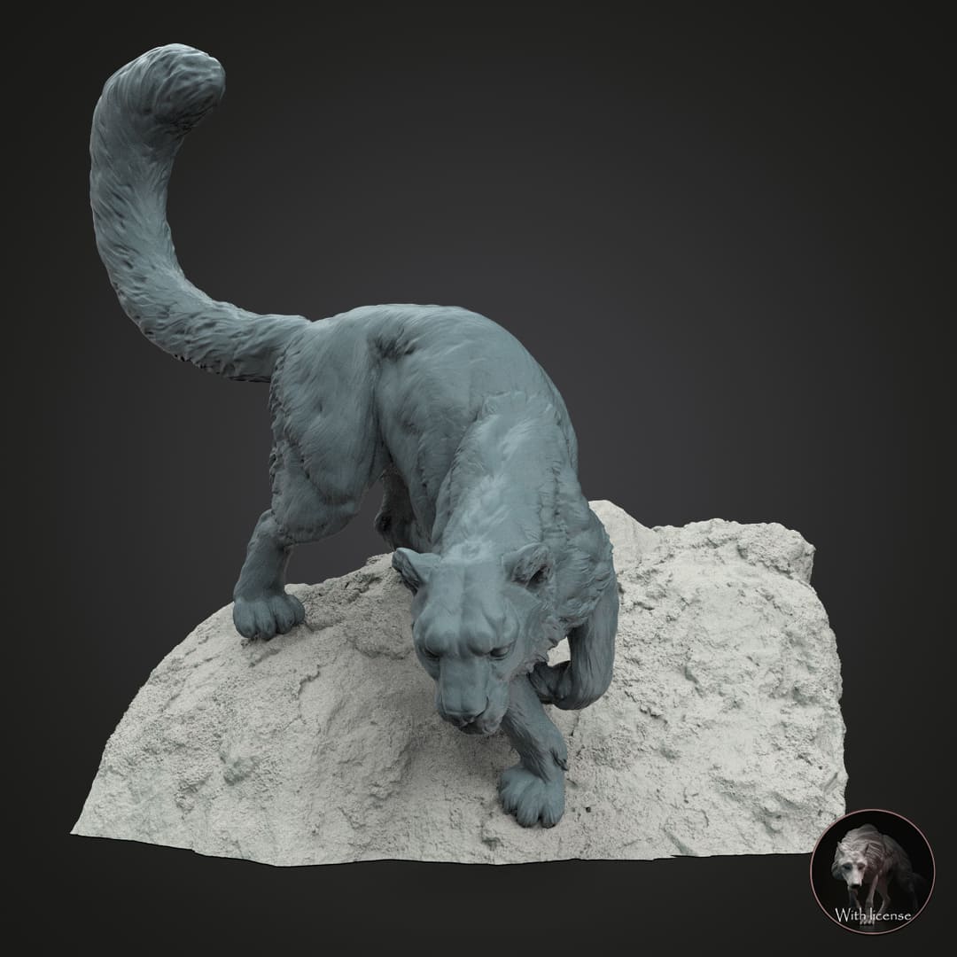 Panthera uncia (Snow leopard)