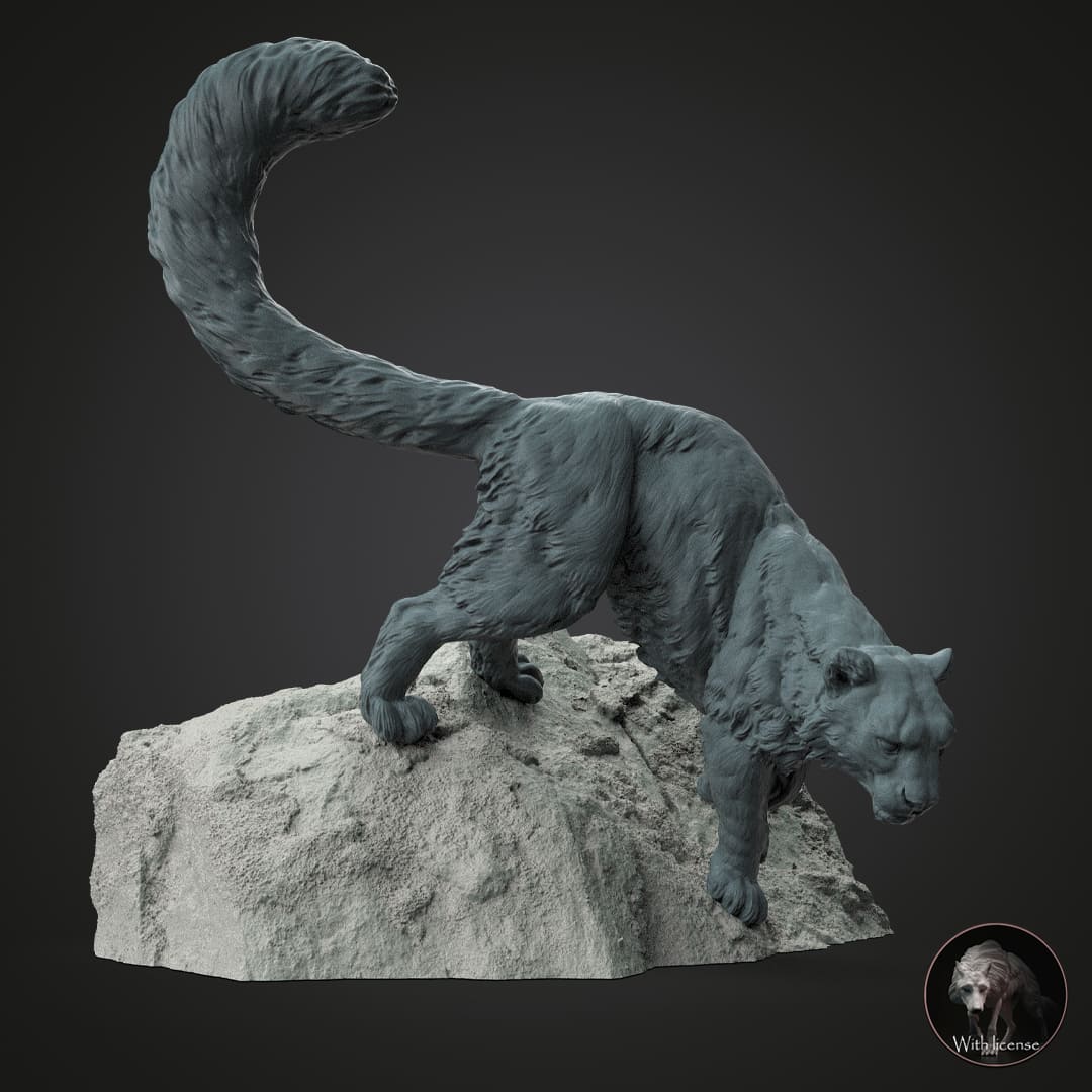 Panthera uncia (Snow leopard)