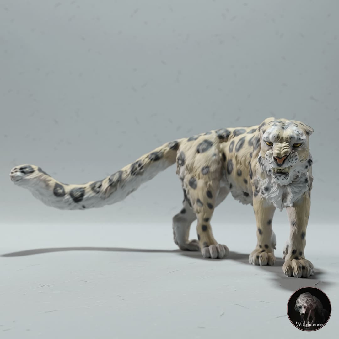 Panthera uncia (Snow leopard)