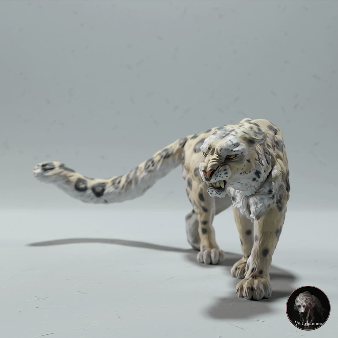 Panthera uncia (Snow leopard)