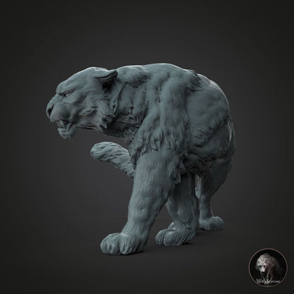 Panthera uncia (Schneeleopard)