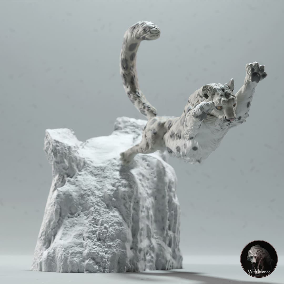 Panthera uncia (Snow leopard)