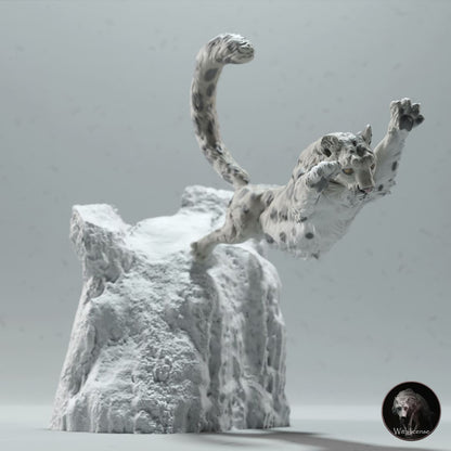 Panthera uncia (Snow leopard)