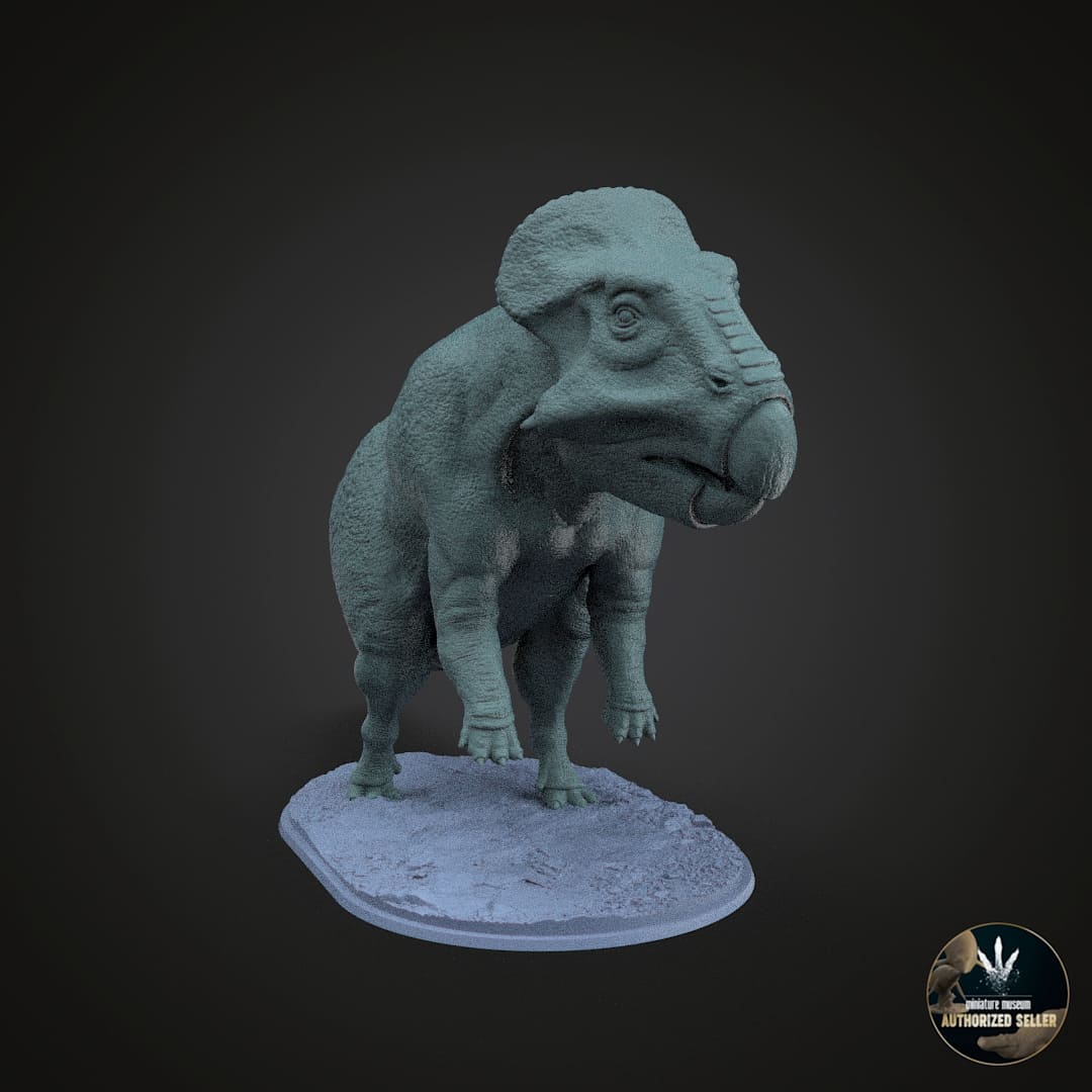 Leptoceratops gracilis