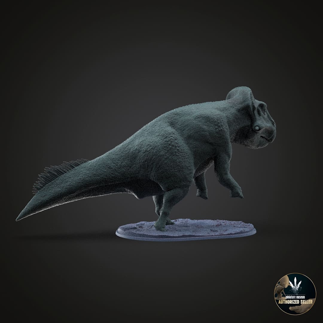 Leptoceratops gracilis