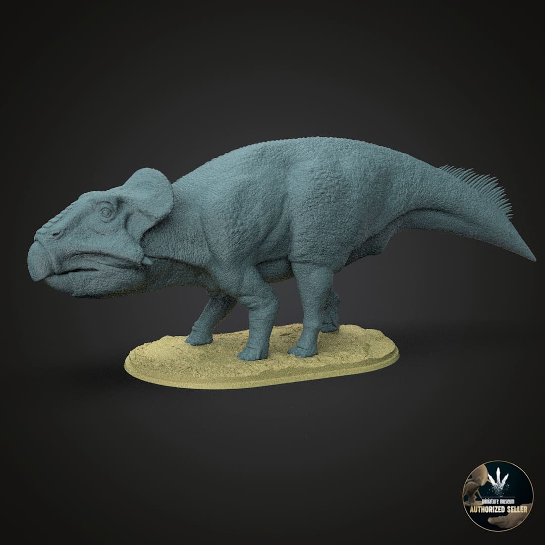 Leptoceratops gracilis