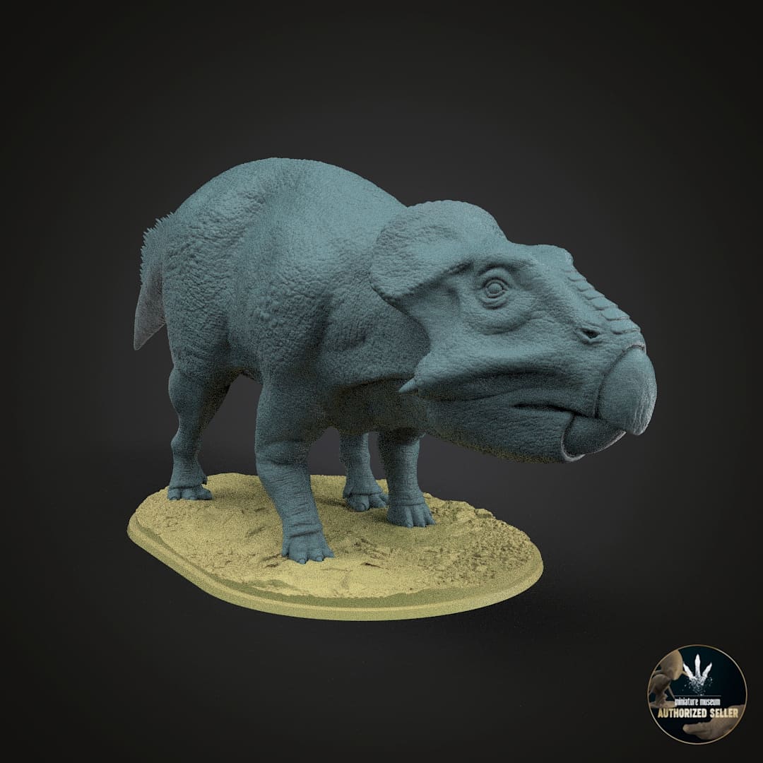 Leptoceratops gracilis
