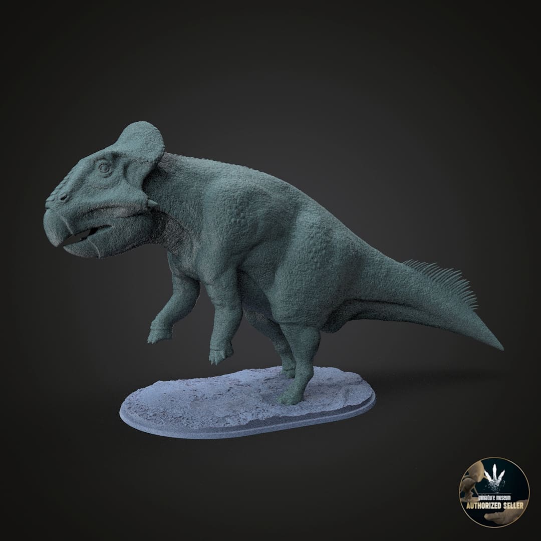 Leptoceratops gracilis