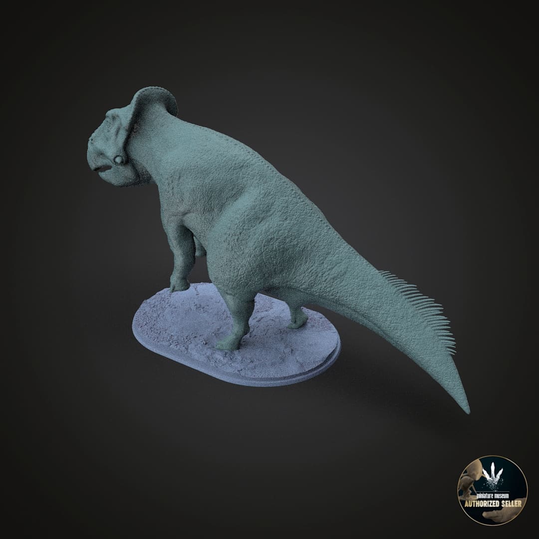 Leptoceratops gracilis
