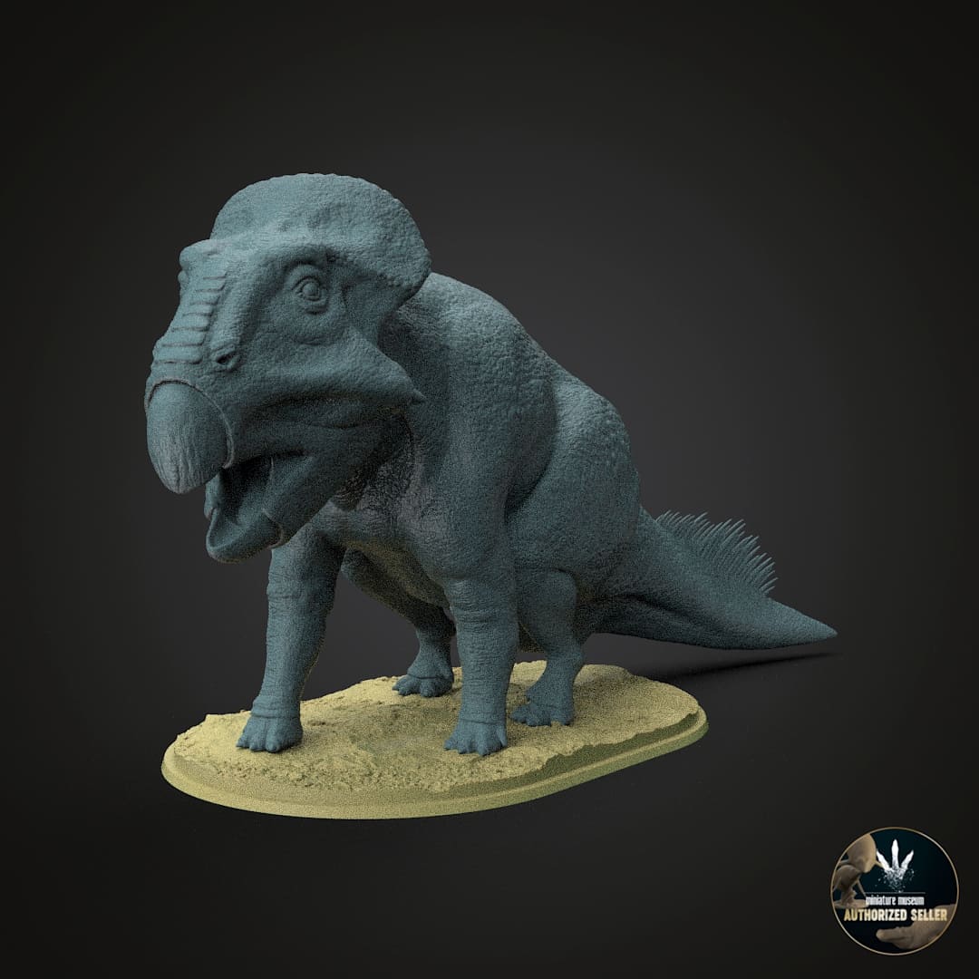 Leptoceratops gracilis