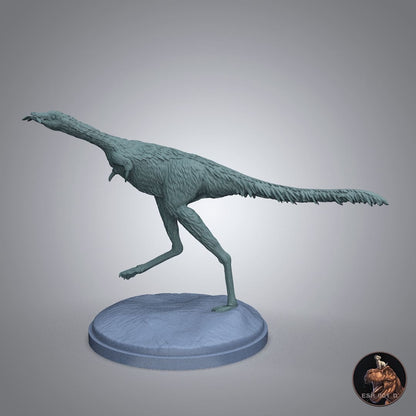 Linhenykus monodactylus
