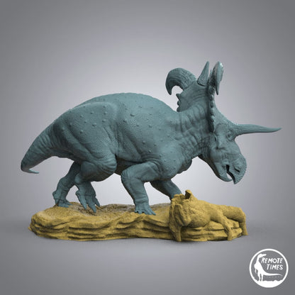 Lokiceratops rangiformis