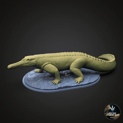 Machaeroprosopus buceros