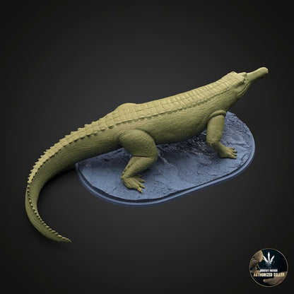 Machaeroprosopus buceros