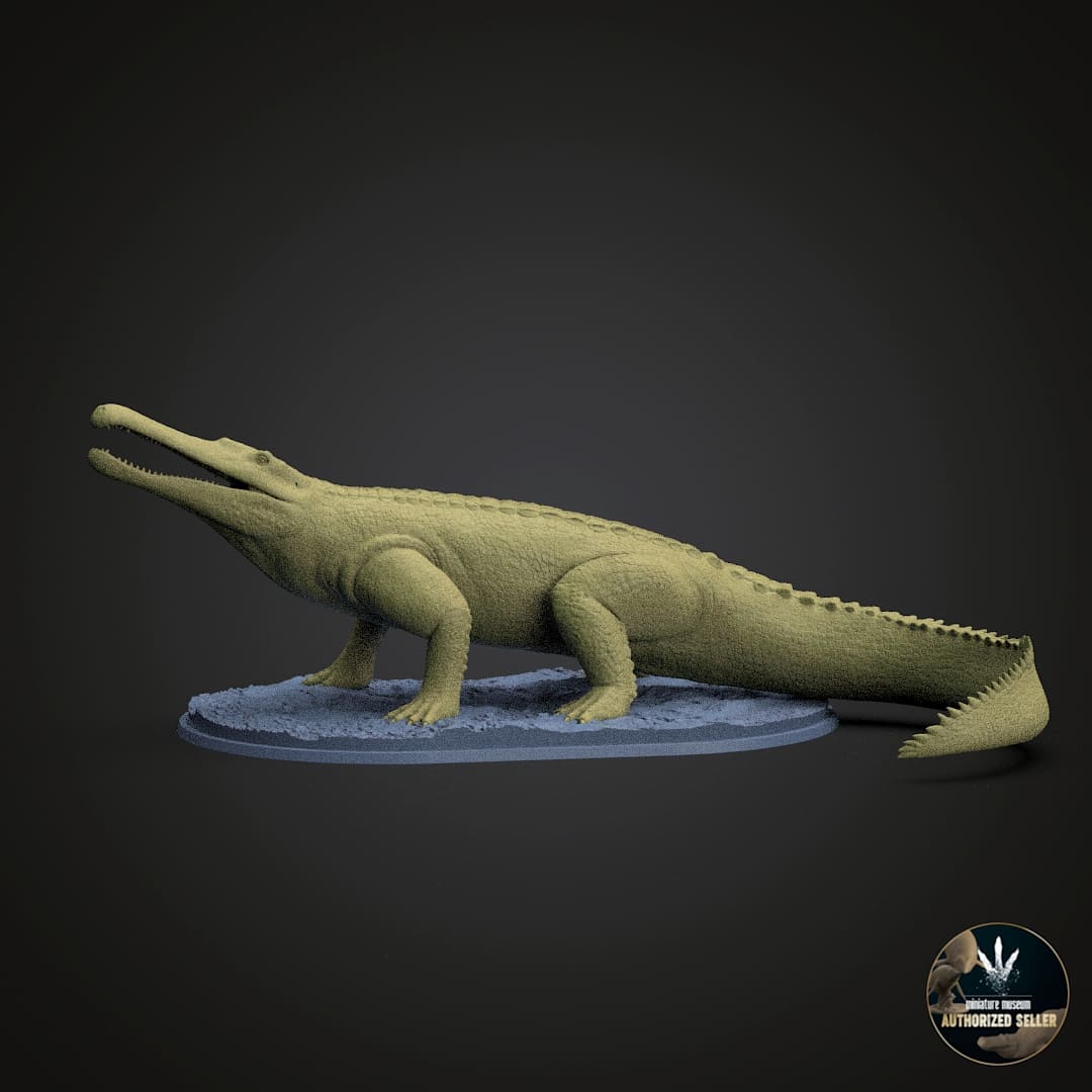 Machaeroprosopus buceros