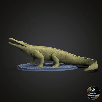 Machaeroprosopus buceros