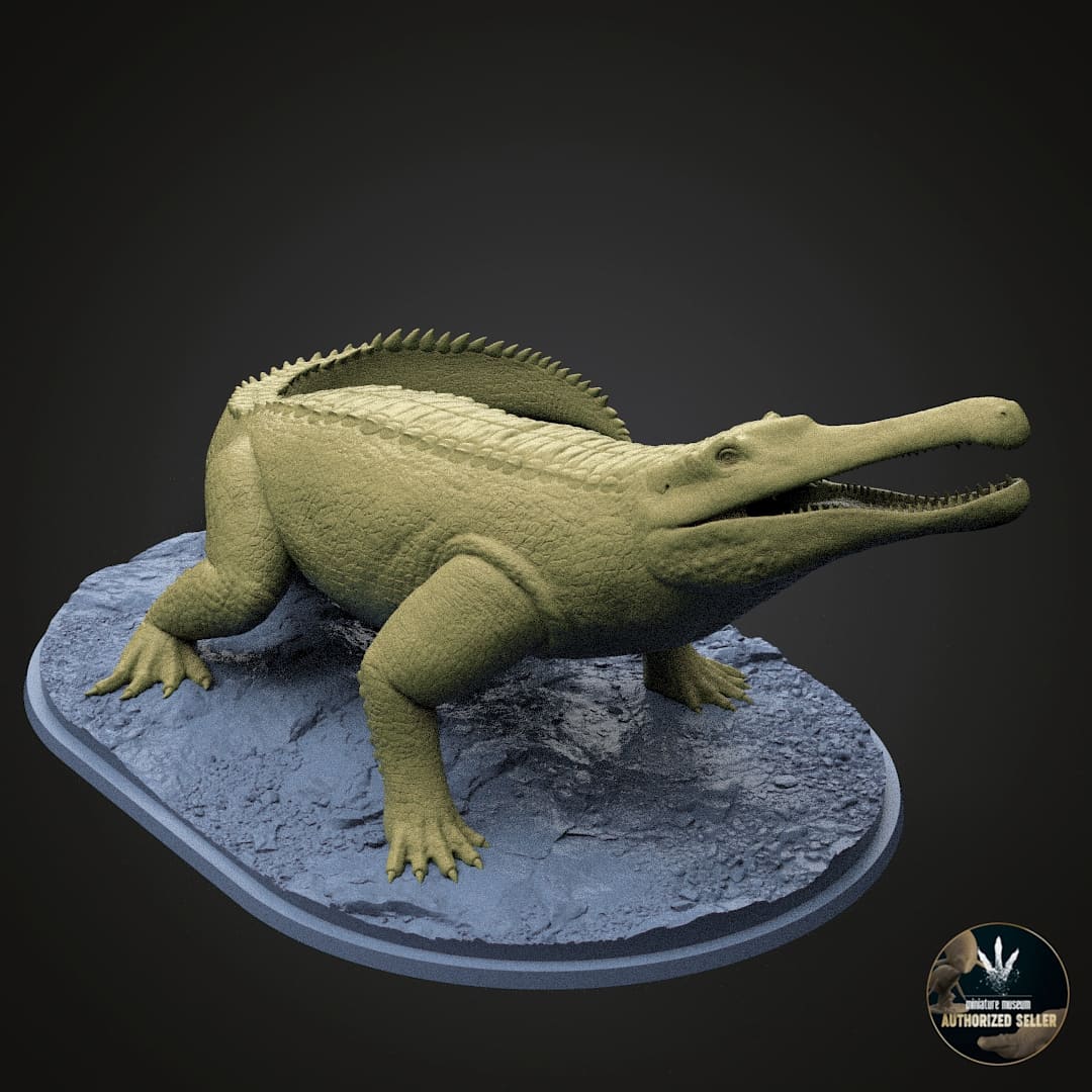 Machaeroprosopus buceros