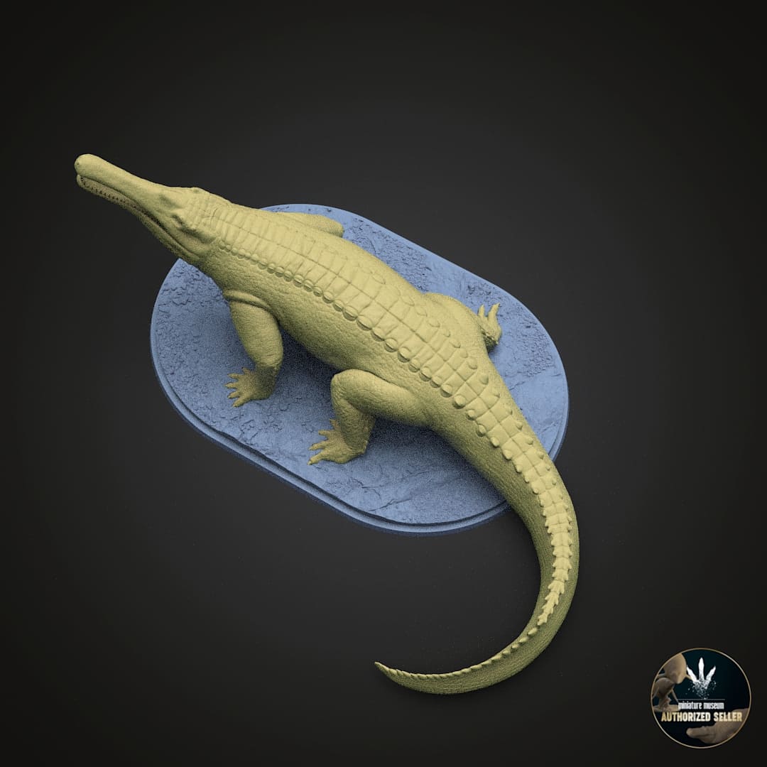 Machaeroprosopus buceros