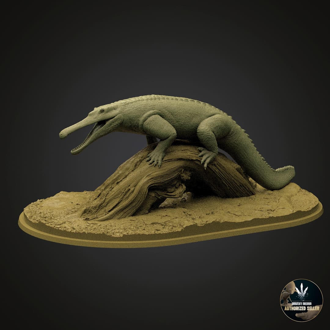 Machaeroprosopus buceros