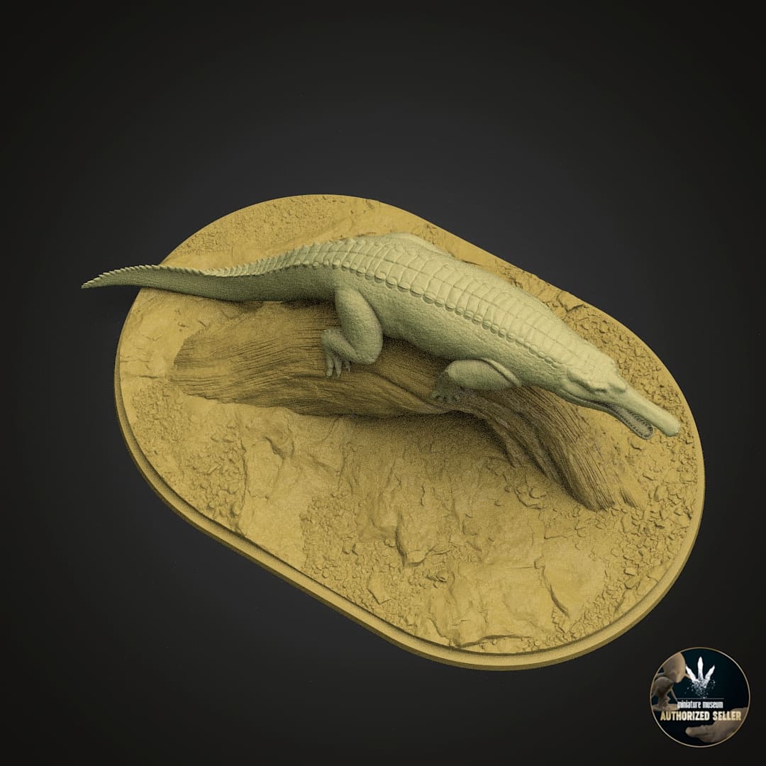 Machaeroprosopus buceros