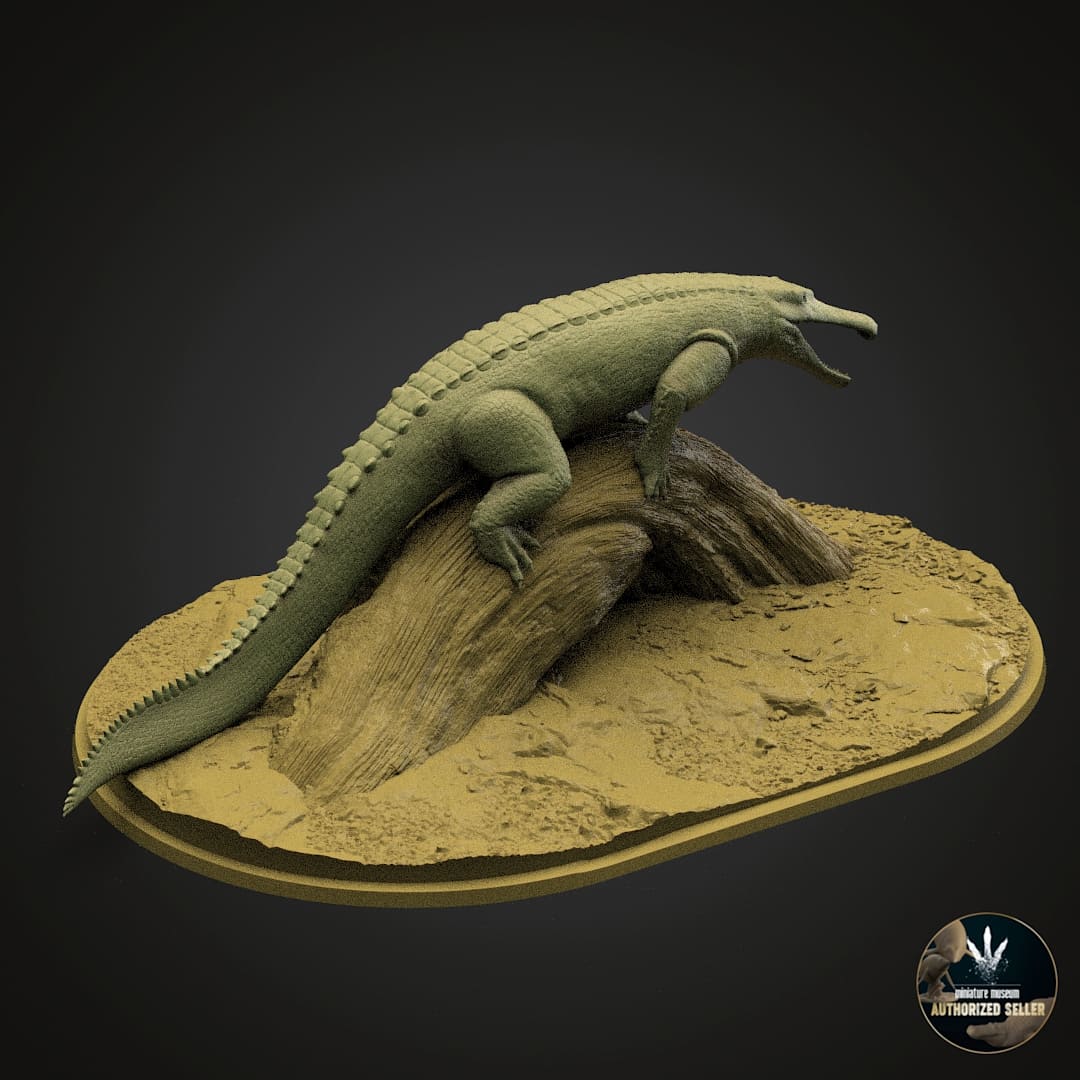 Machaeroprosopus buceros