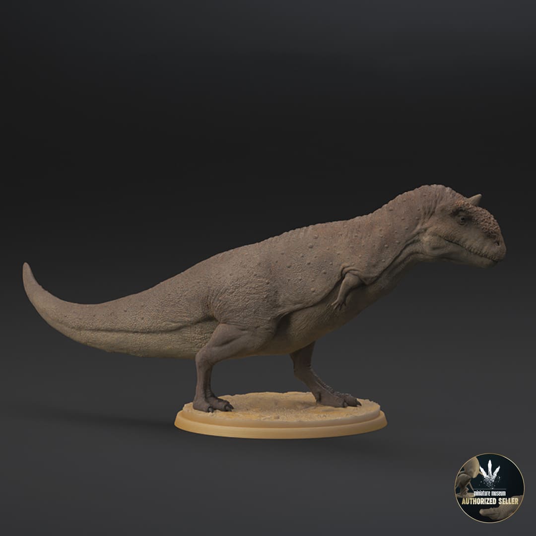 Majungasaurus crenatissimus