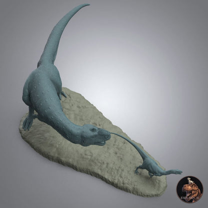 Majungasaurus crenatissimus