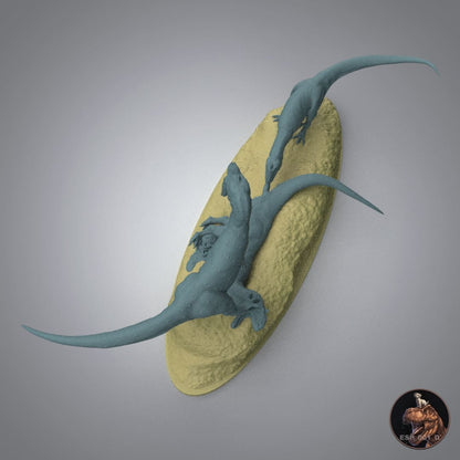 Majungasaurus crenatissimus