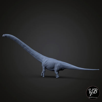 Mamenchisaurus hochuanensis