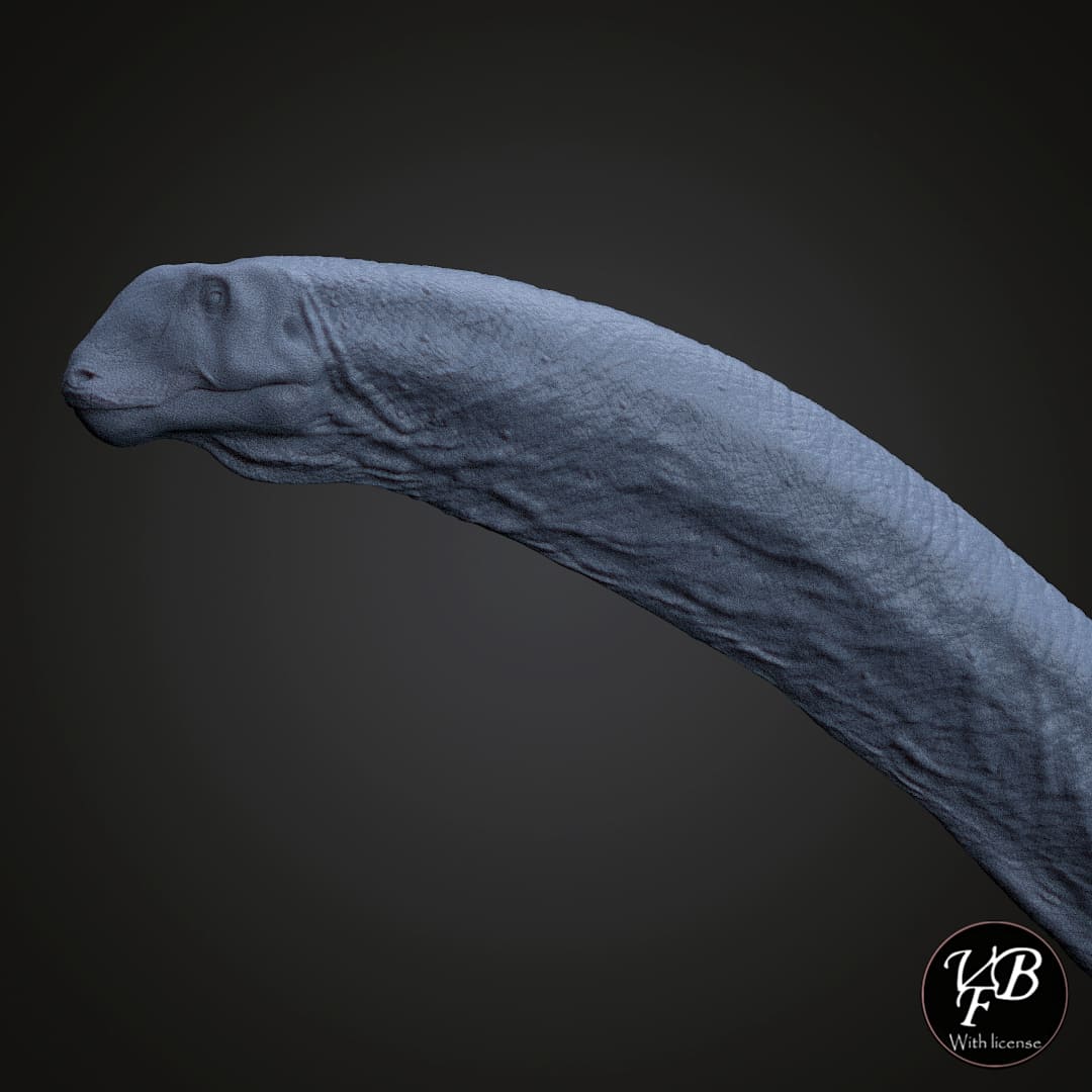 Mamenchisaurus hochuanensis