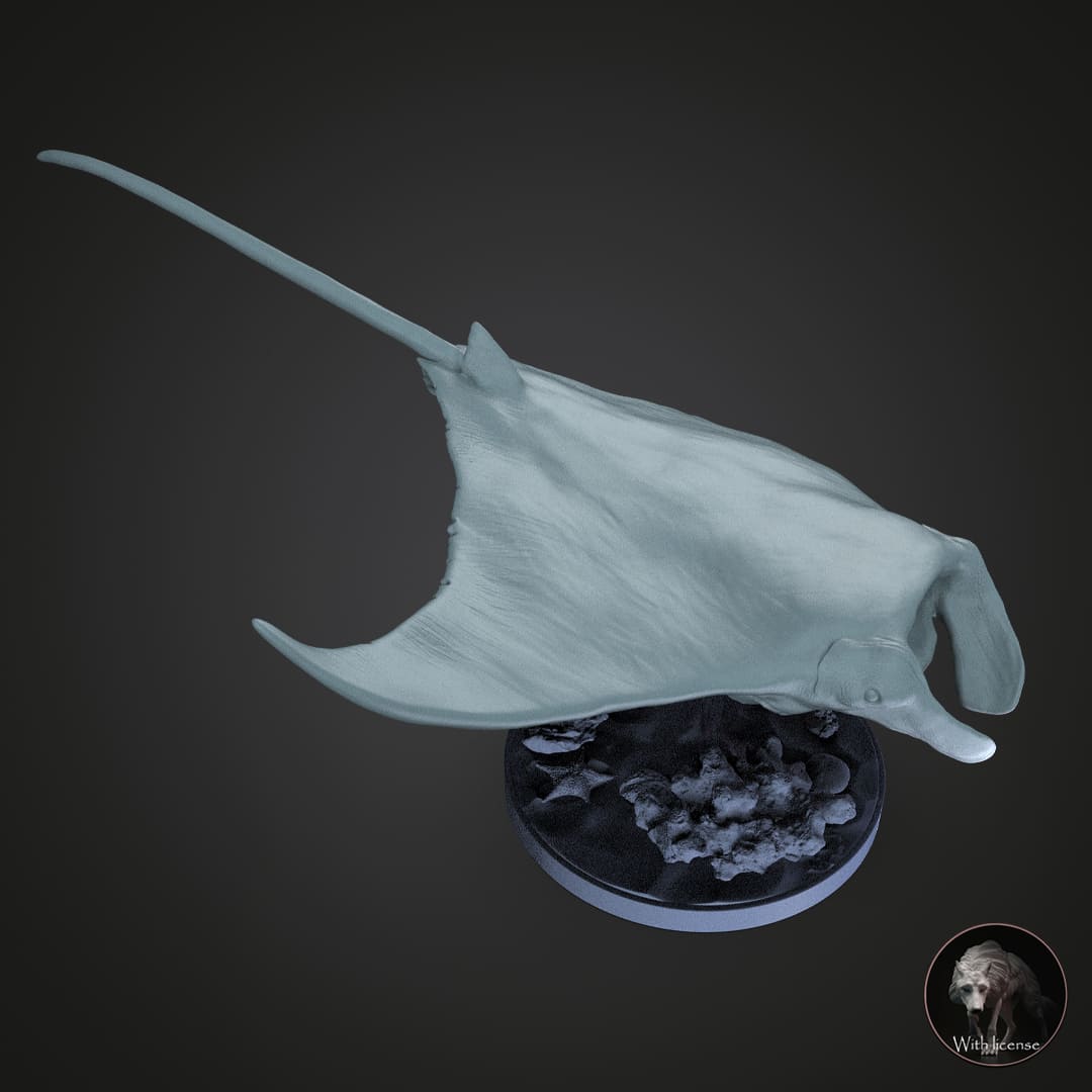 Mobula Alfredi, Riffmantarochen