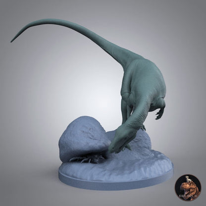 Masiakasaurus knopfleri