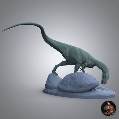 Masiakasaurus knopfleri