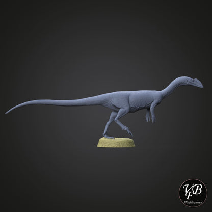 Megapnosaurus kayentakatae