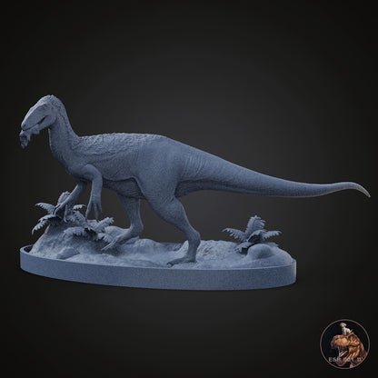 Megaraptor namunhuaiquii