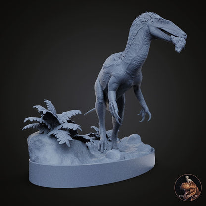Megaraptor namunhuaiquii