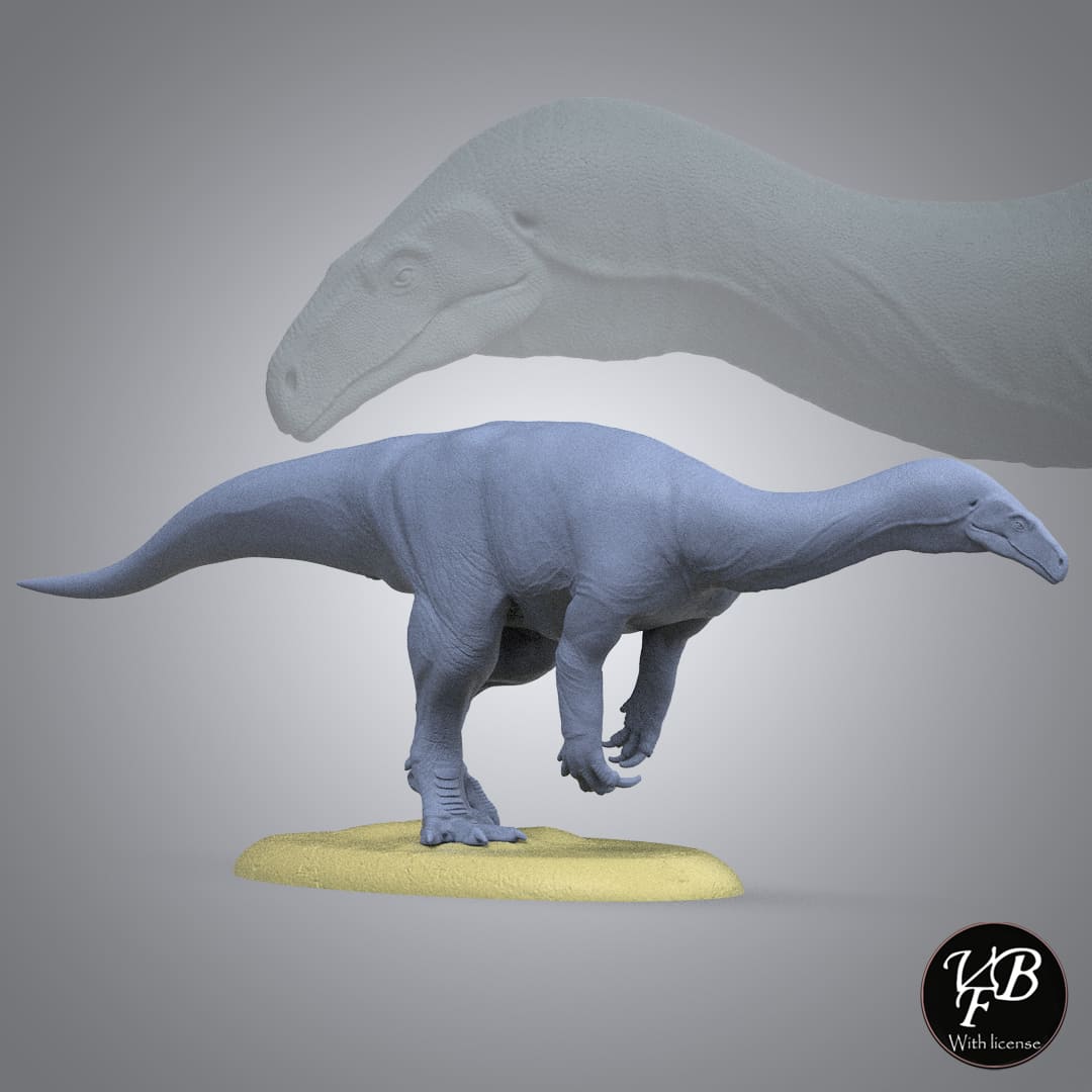 Melanorosaurus readi