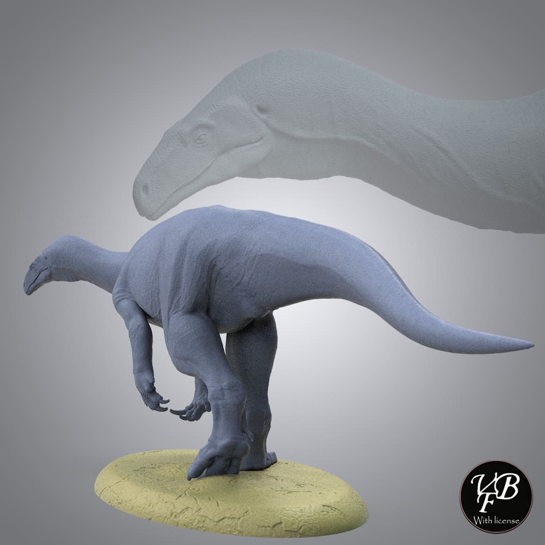 Melanorosaurus readi