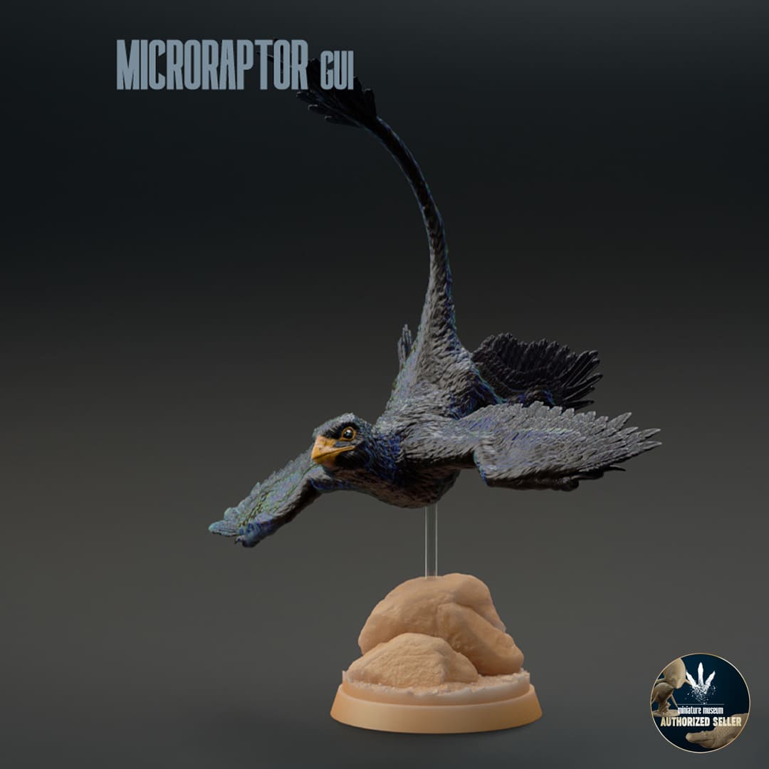 Microraptor gui – Dinosauria Creatures