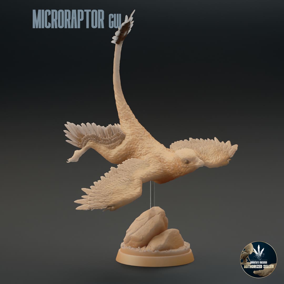 Microraptor gui – Dinosauria Creatures