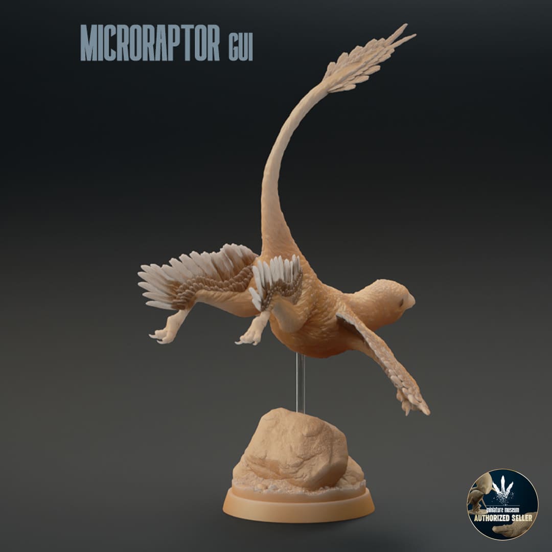 Microraptor gui – Dinosauria Creatures