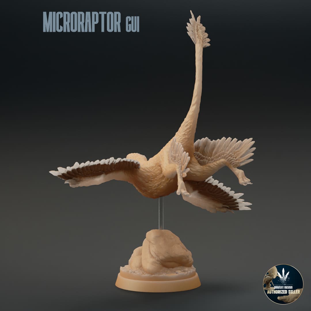 Microraptor gui