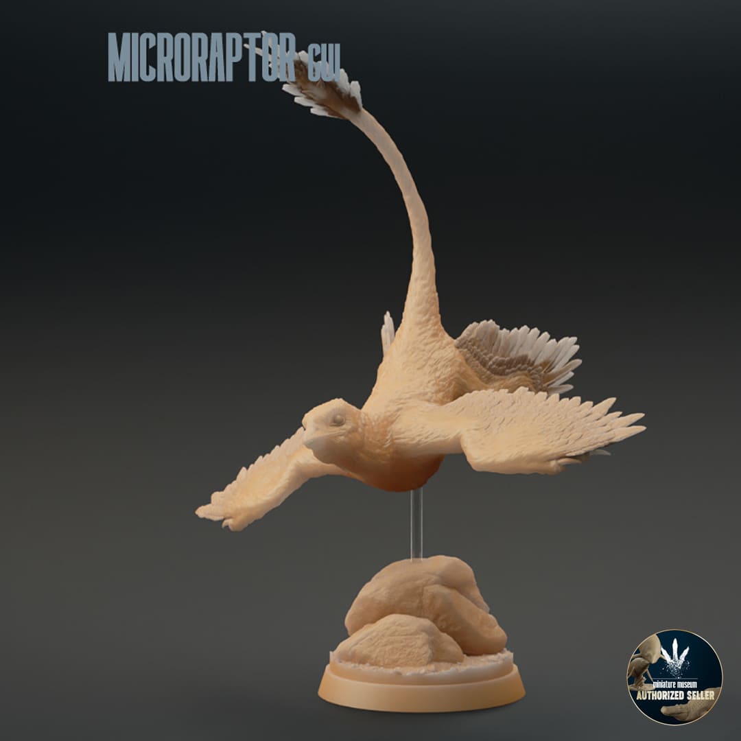 Microraptor gui – Dinosauria Creatures