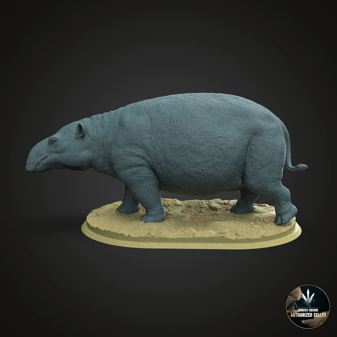 Moeritherium lyonsi