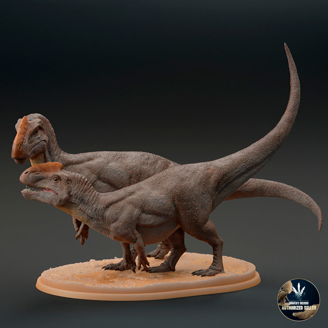 Monolophosaurus jiangi