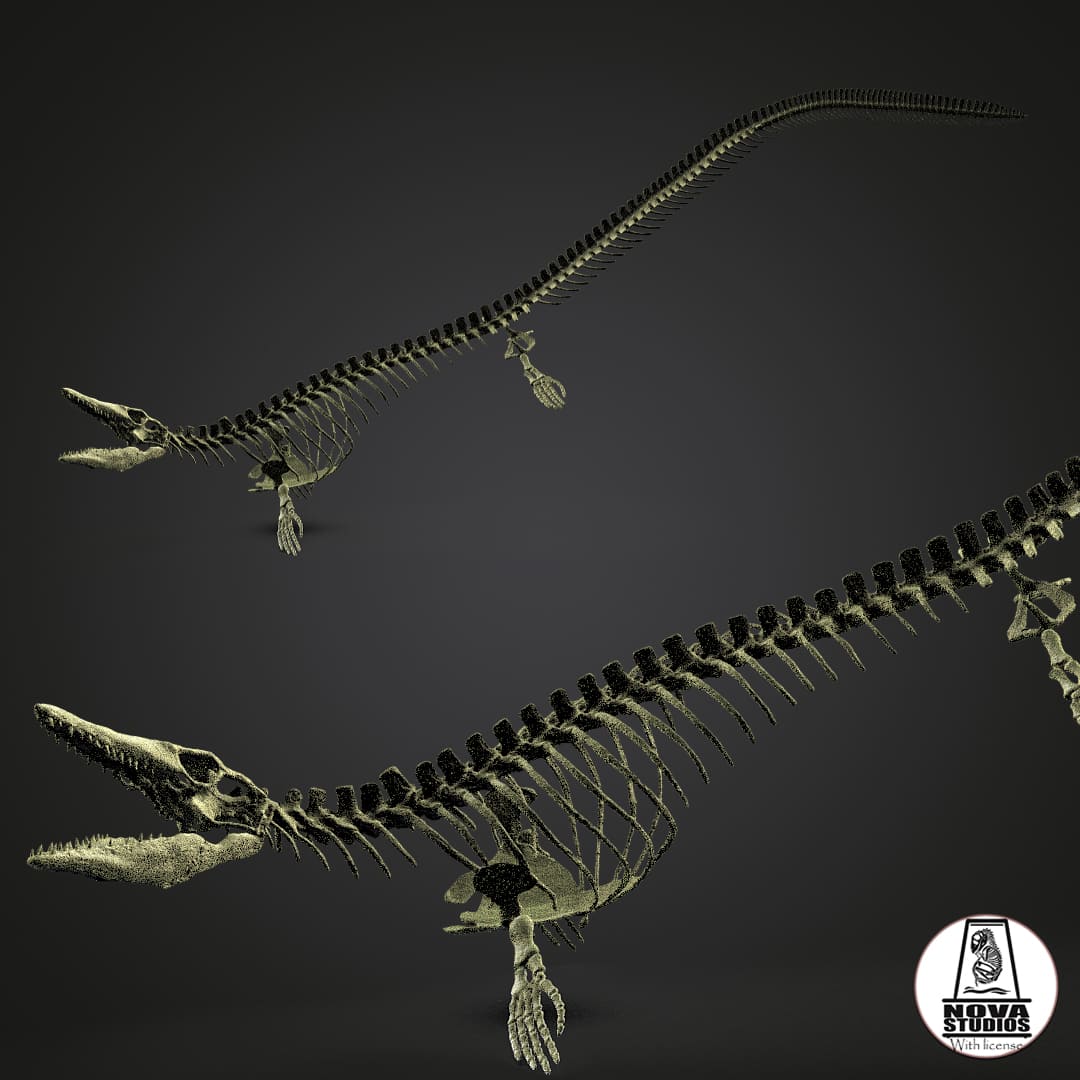 Tylosaurus Proriger